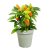 Elho Green Basics Growpot - 19cm Stone Green