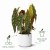 elho B.For Soft Round Plant Pot 25cm - Anthracite