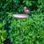 Ascalon Birdtable - Pair Robins