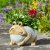 Flamboya Woodstone Frog Planter