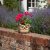 Flamboya Owl Planter