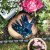 Briers Bees Seed & Weed Medium/Size 8