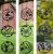 Flamboys DecoHangers - Assorted