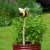 The Elvedon Collection DecoBee 37cm