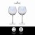 BarCraft Set of Two Iridescent Gin Glasses