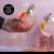 BarCraft Set of Two Iridescent Gin Glasses