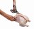 Chef'n FreshForce Poultry Shears
