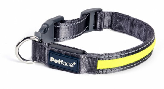 Petface Bright & Safe Reflective Collar - Various Sizes