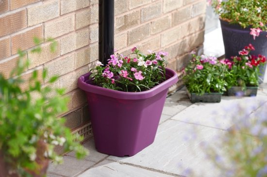 Clever Pots Downpipe Plant Pot - Orchid