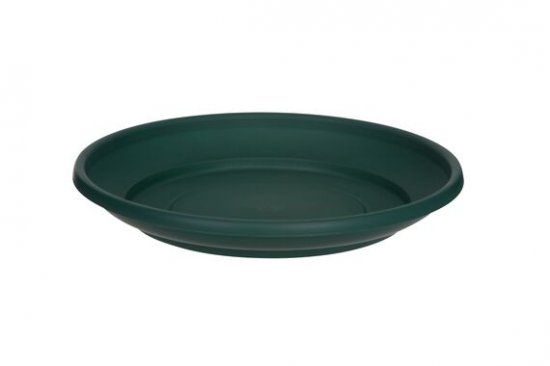 Whitefurze 32cm Saucer - Forest Green