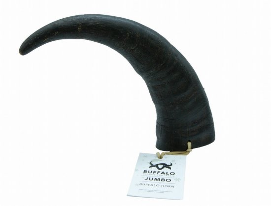 Buffalo Natural Dog Treats Jumbo Buffalo Horn